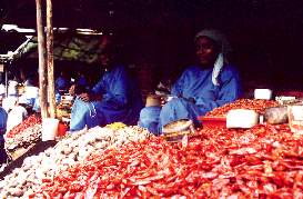 Le Mercato (� Vincent Muteau)