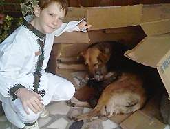 Adrien et les chiens (� Oposito)
