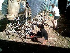 Peinture du rhino