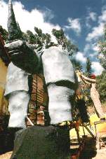 Le rhinoc&eacute;ros (� Vincent Muteau)