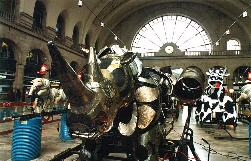 Le rhino (� Vincent Muteau)