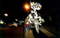 Les vaches (� Vincent Muteau)